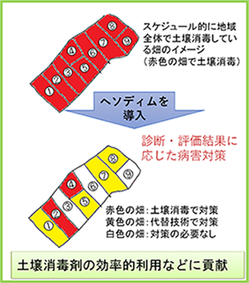 2024年8月23日、土壌病害管理「ヘソディム」講義と3級認定試験